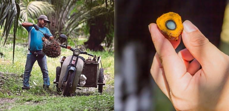 A description of the image