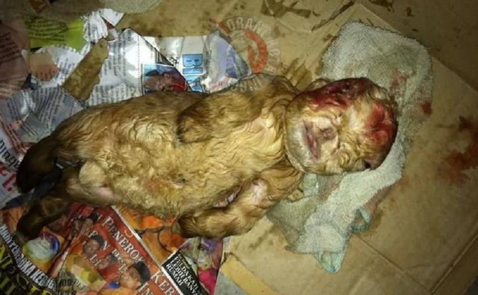 A description of the image