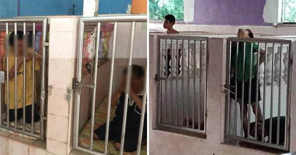 A description of the image