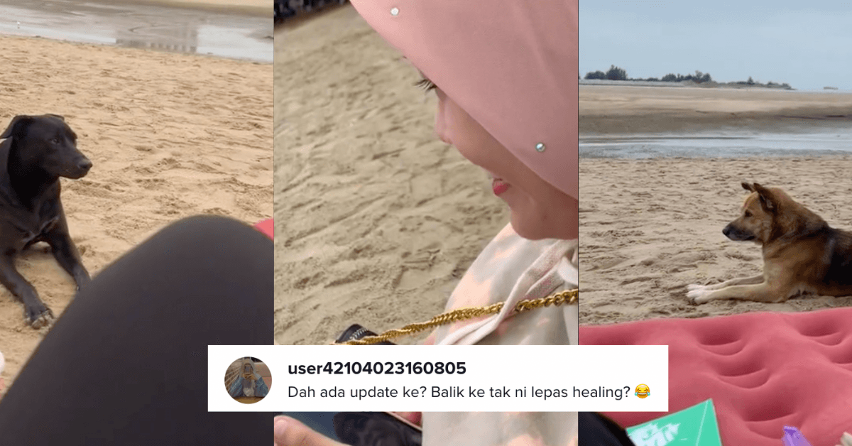 A description of the image