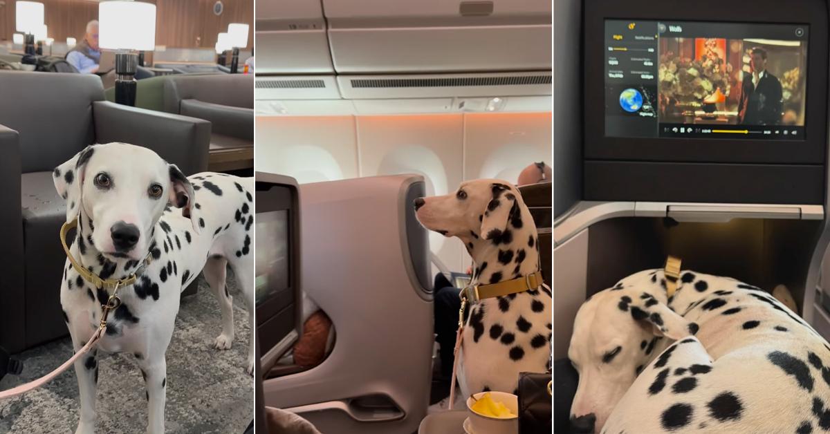 A description of the image