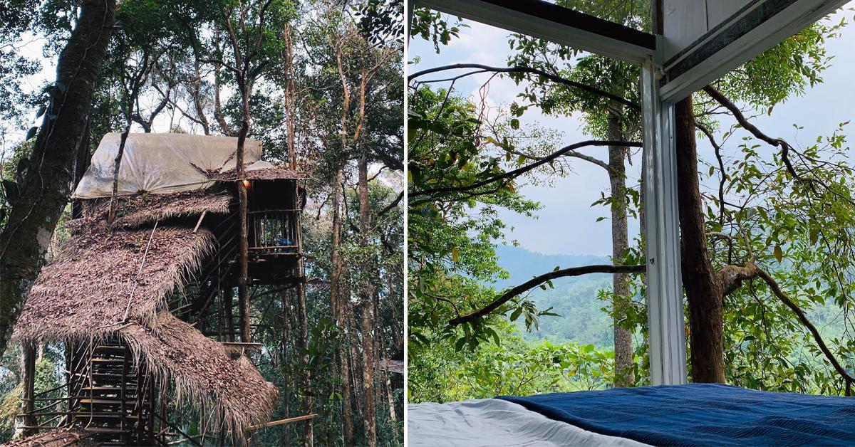 A description of the image