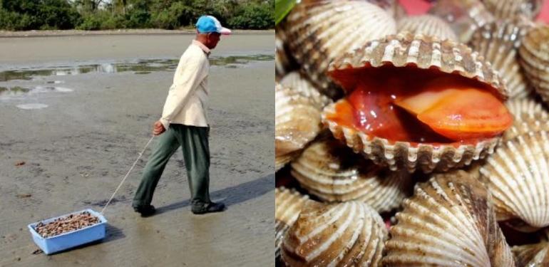 A description of the image