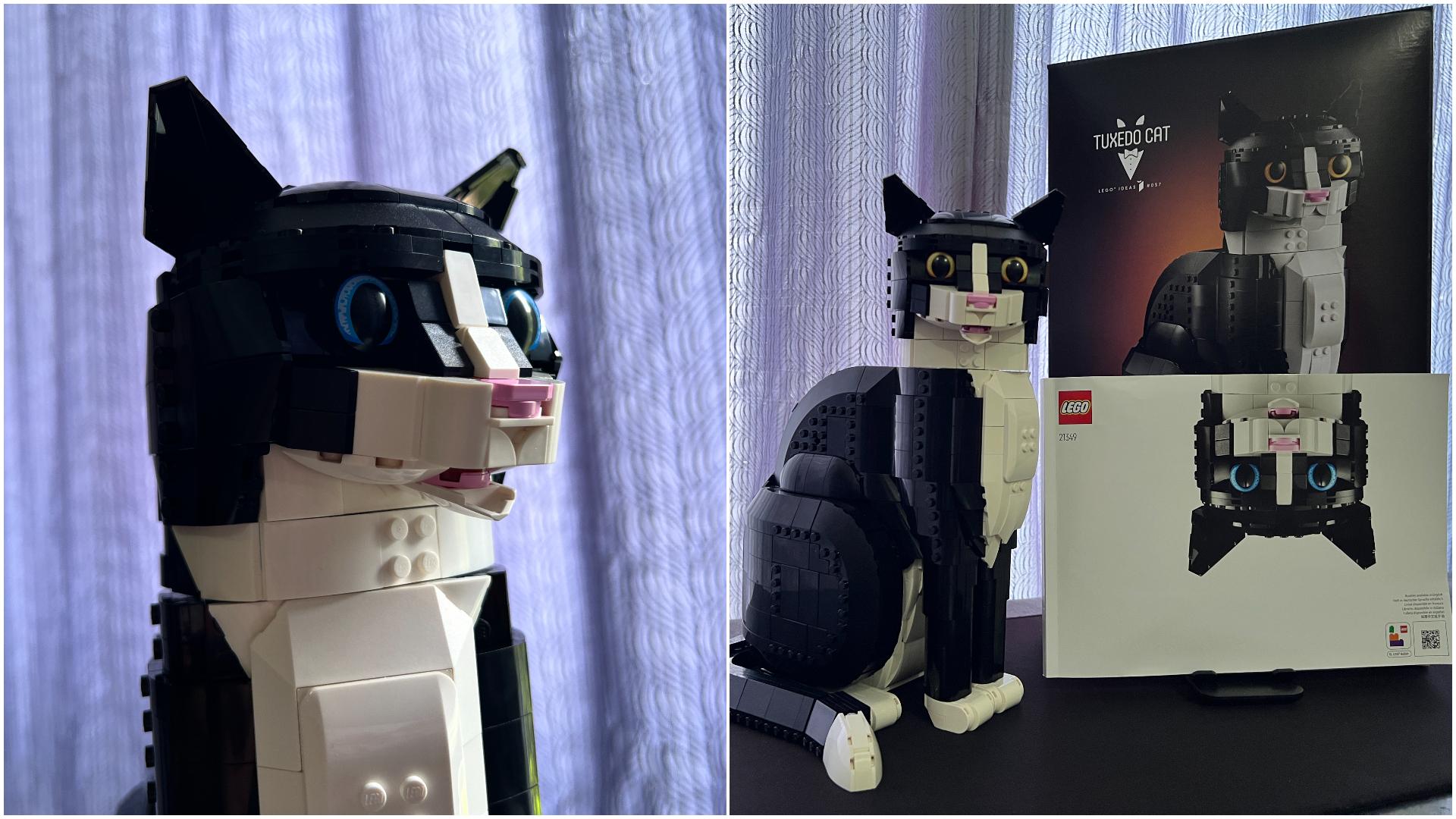 A description of the image