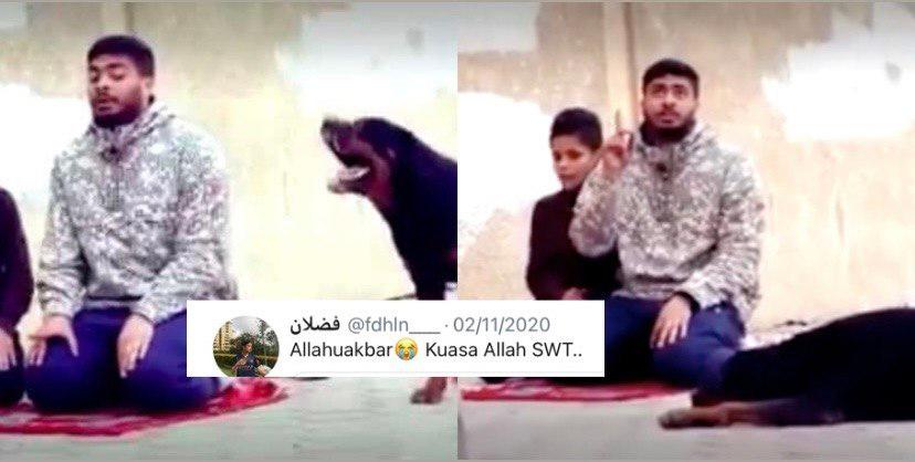 A description of the image