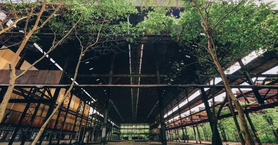 A description of the image