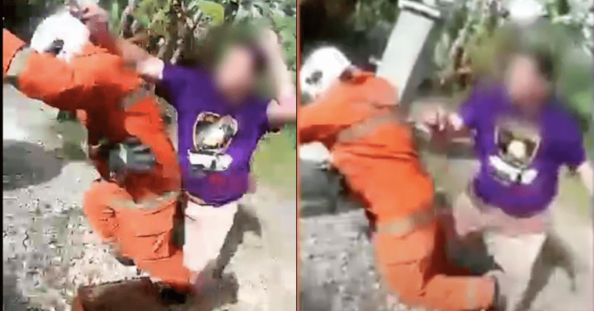 A description of the image