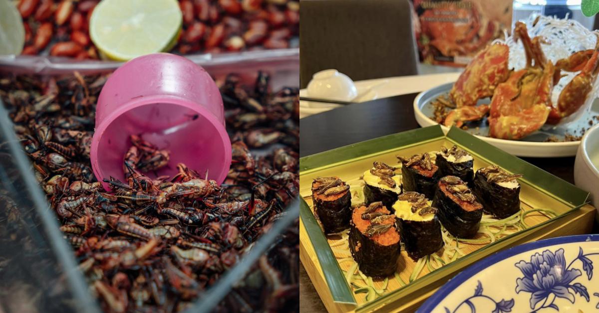 A description of the image