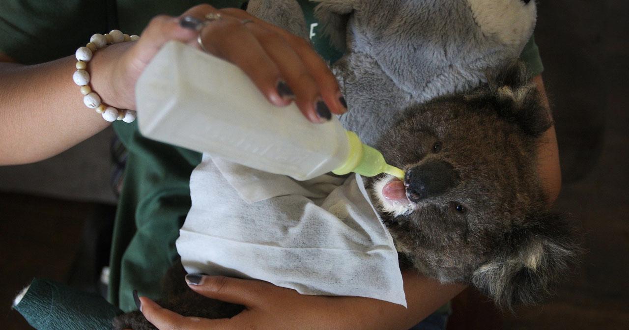 A description of the image