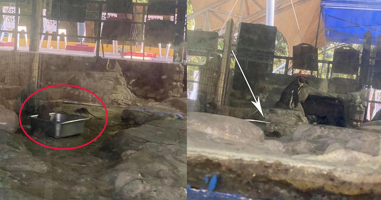 A description of the image