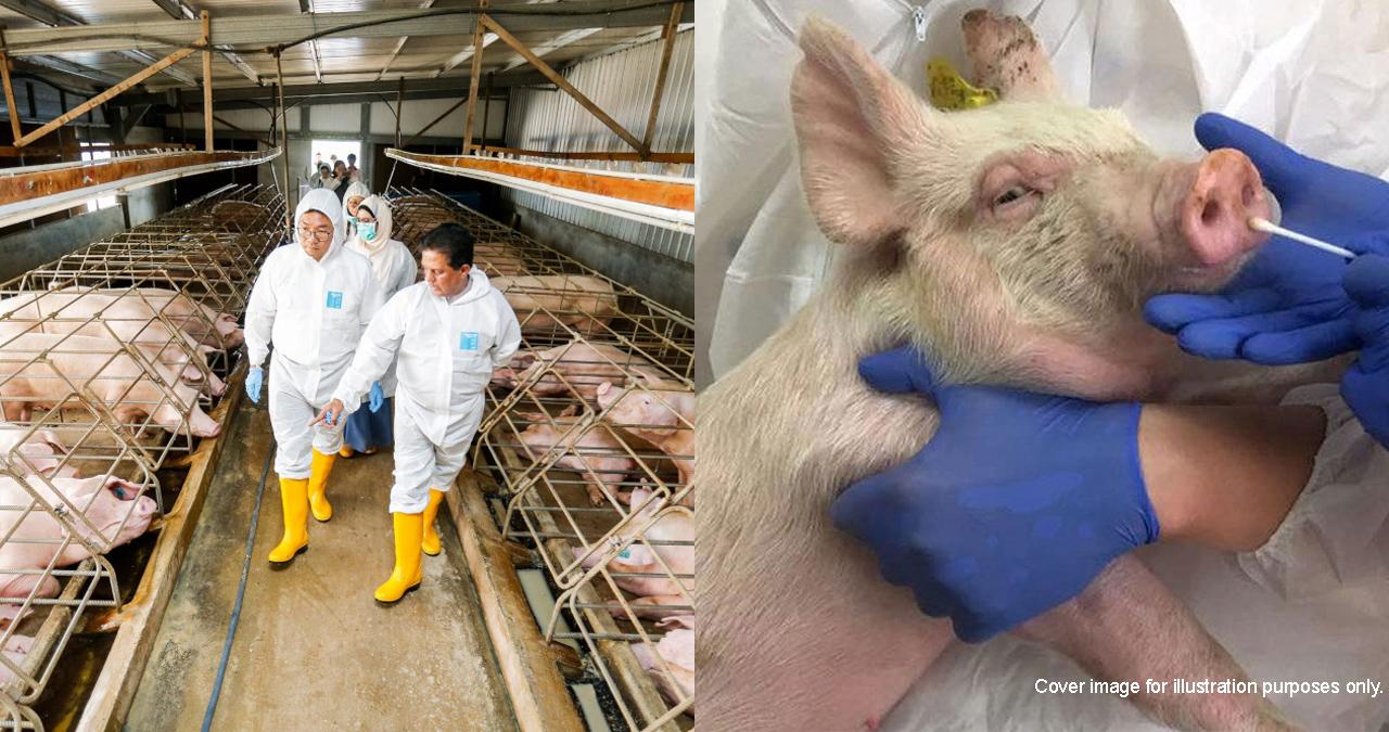 A description of the image