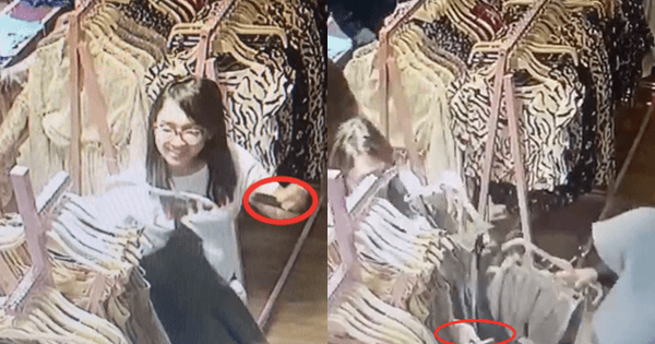 A description of the image