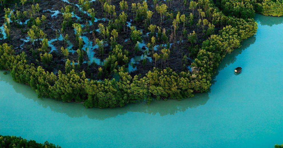 A description of the image