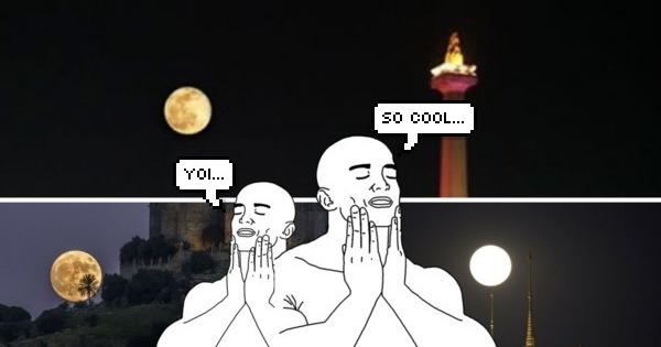 A description of the image