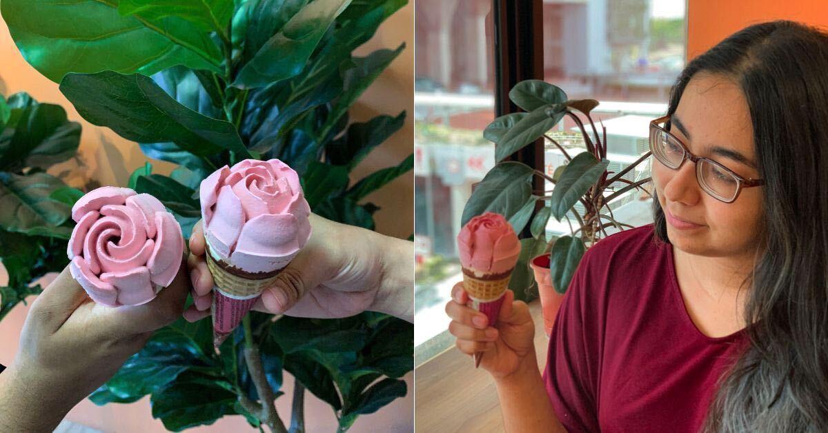 A description of the image