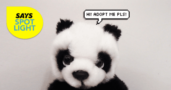 A description of the image