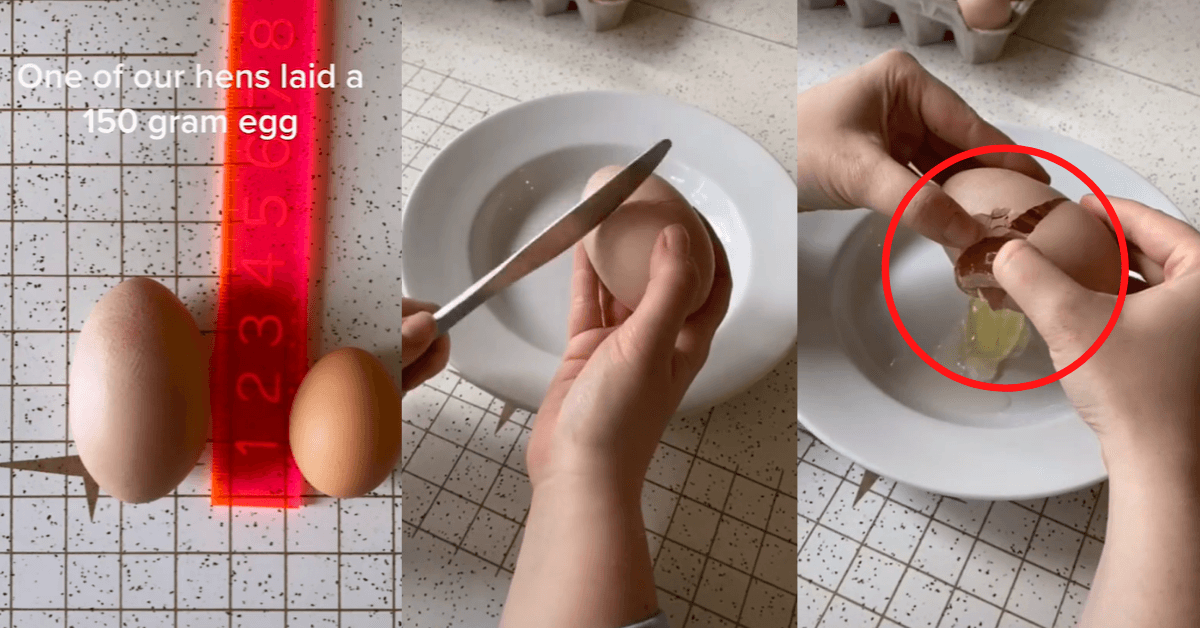 A description of the image