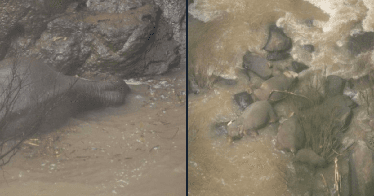 A description of the image