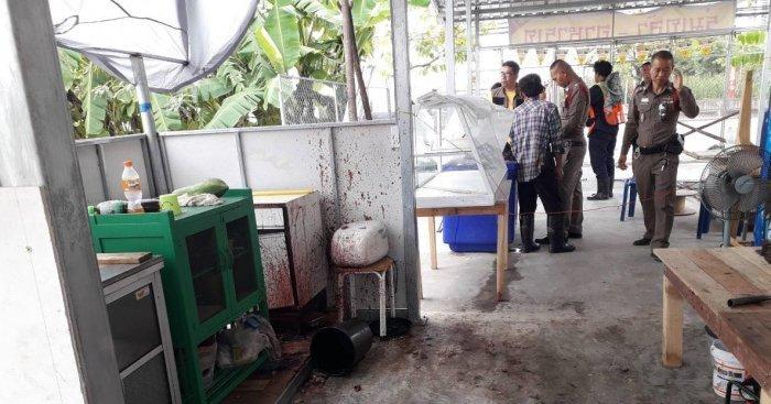 A description of the image