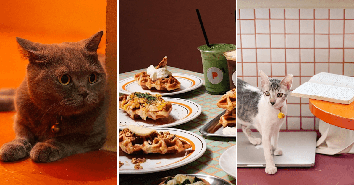 A description of the image