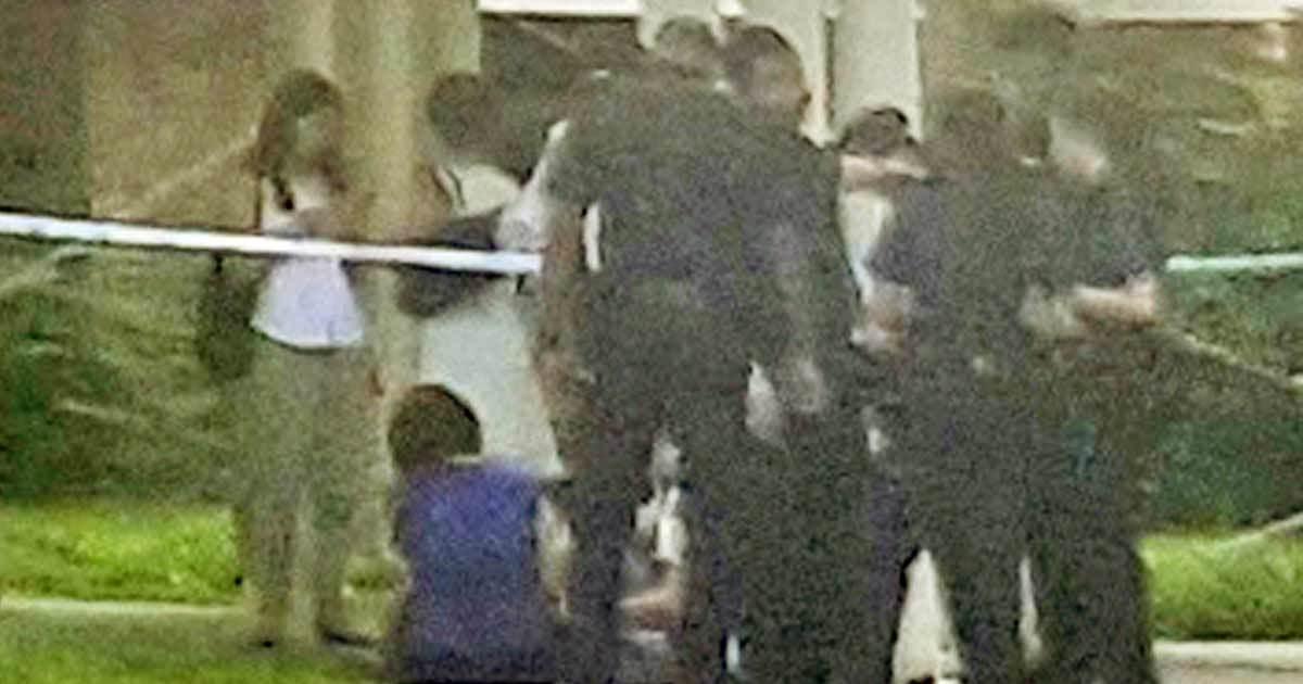 A description of the image