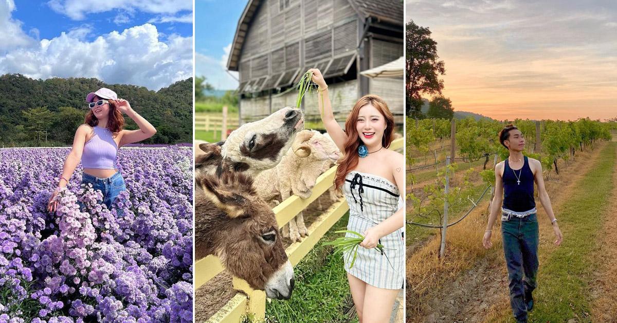 A description of the image