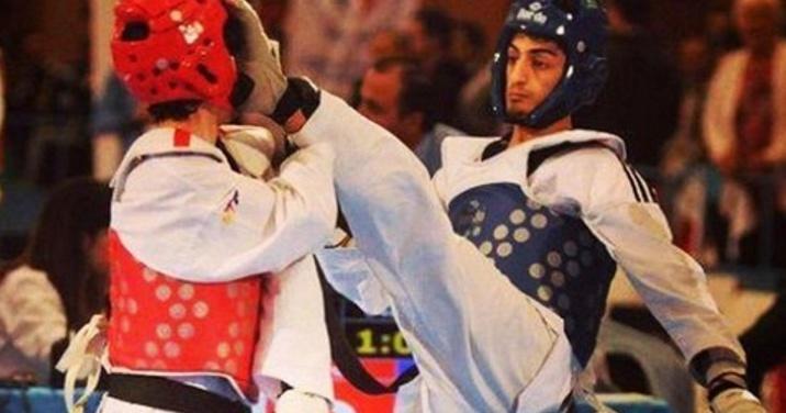 A description of the image