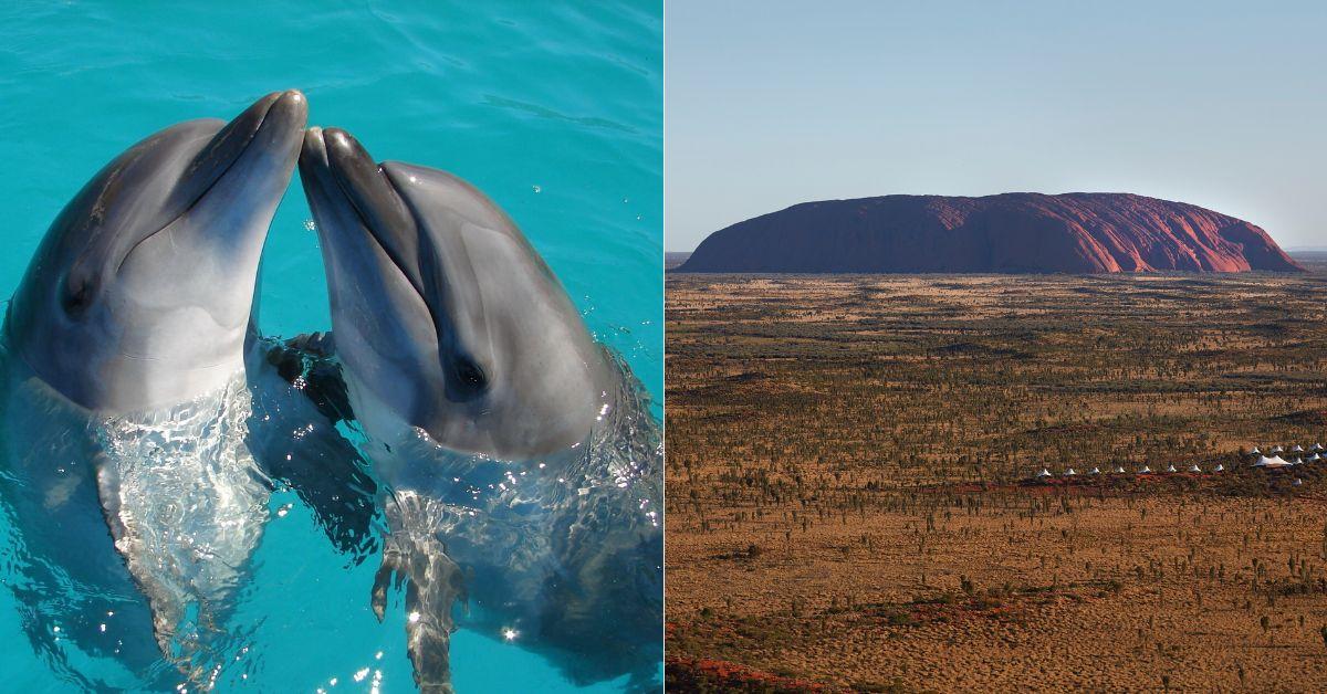 A description of the image