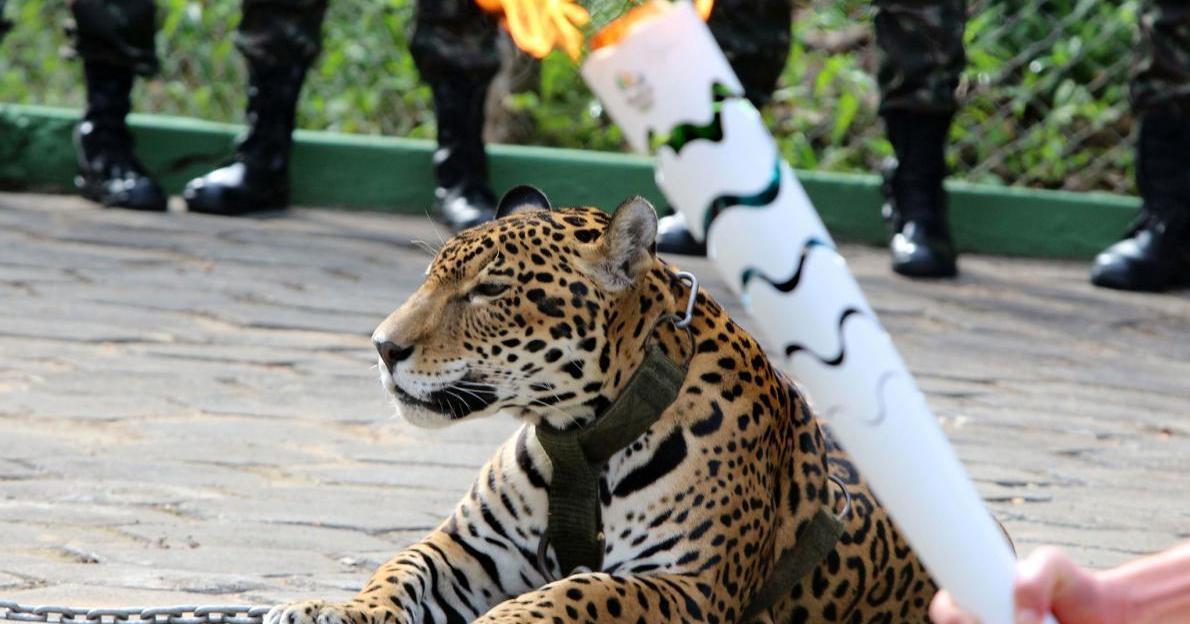 A description of the image