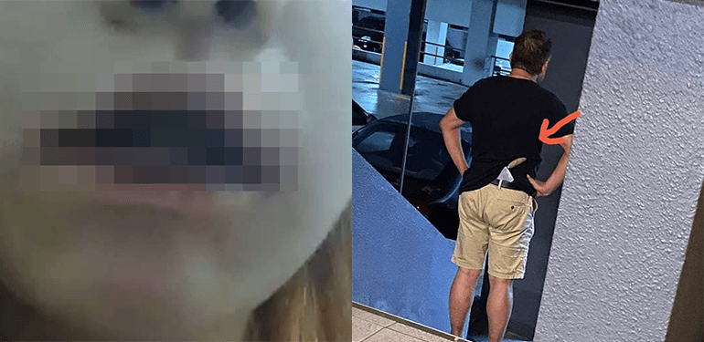 A description of the image