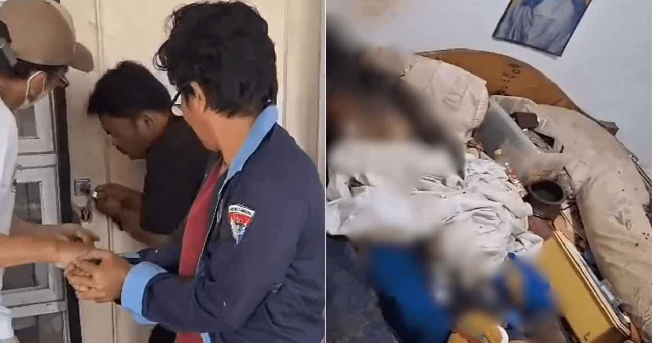 A description of the image