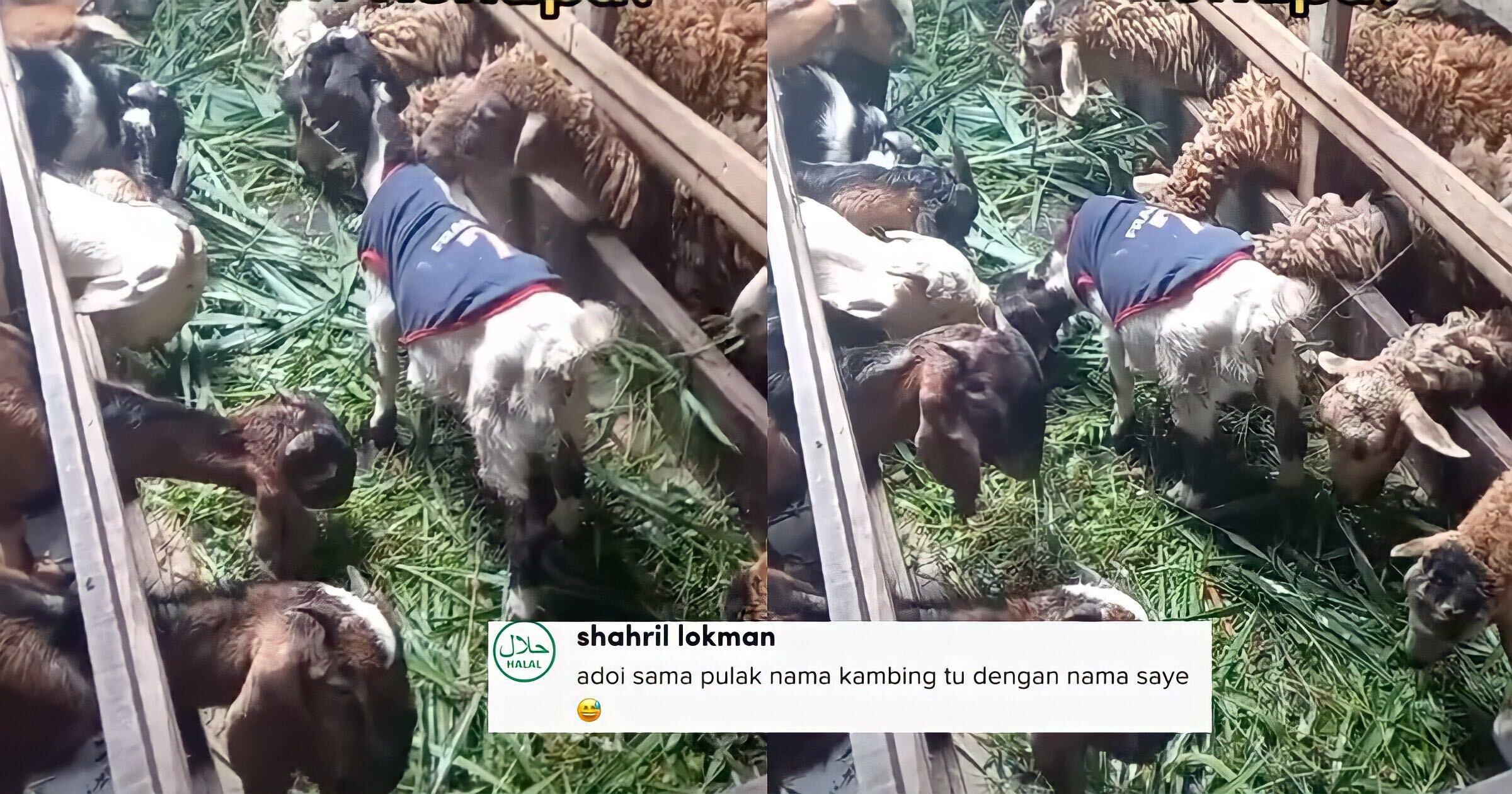 A description of the image