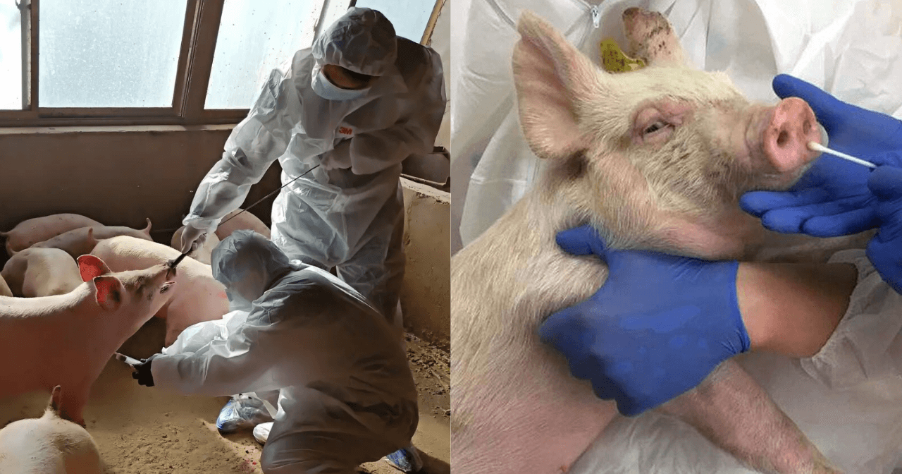 A description of the image