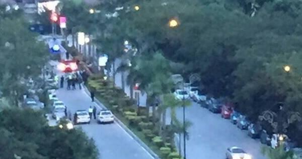 A description of the image