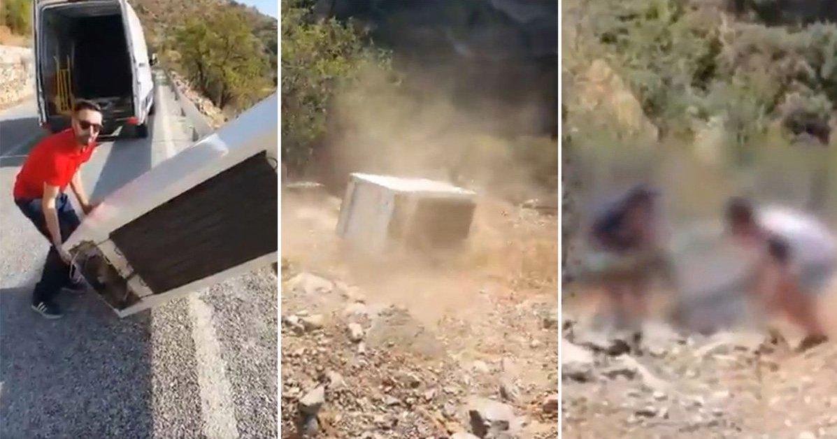 A description of the image