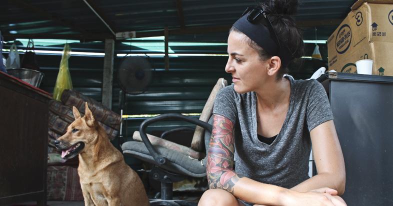 A description of the image