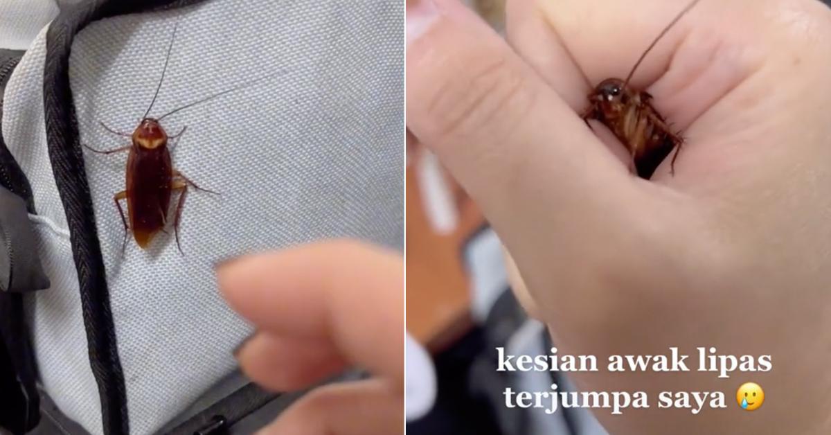 A description of the image