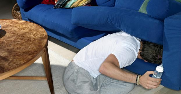 A description of the image