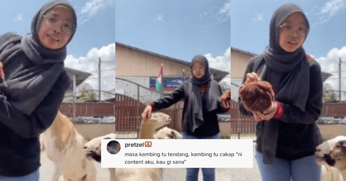 A description of the image