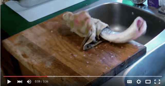 A description of the image