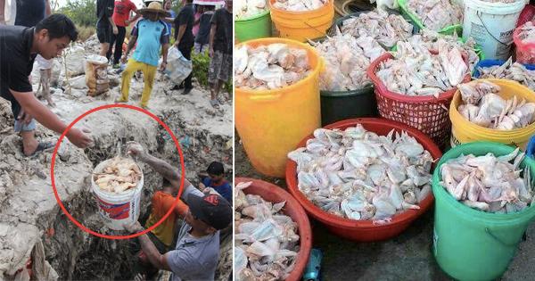 A description of the image