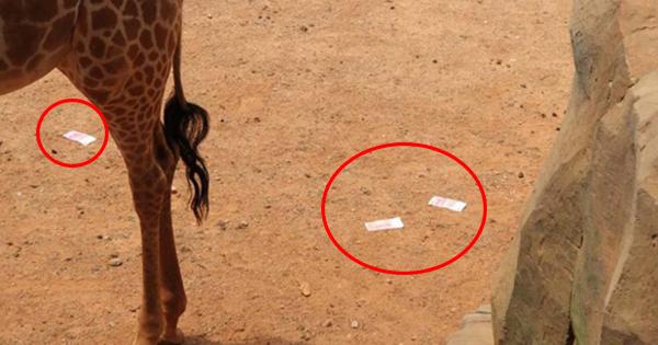 A description of the image