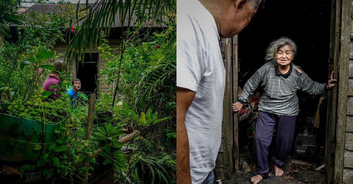 A description of the image