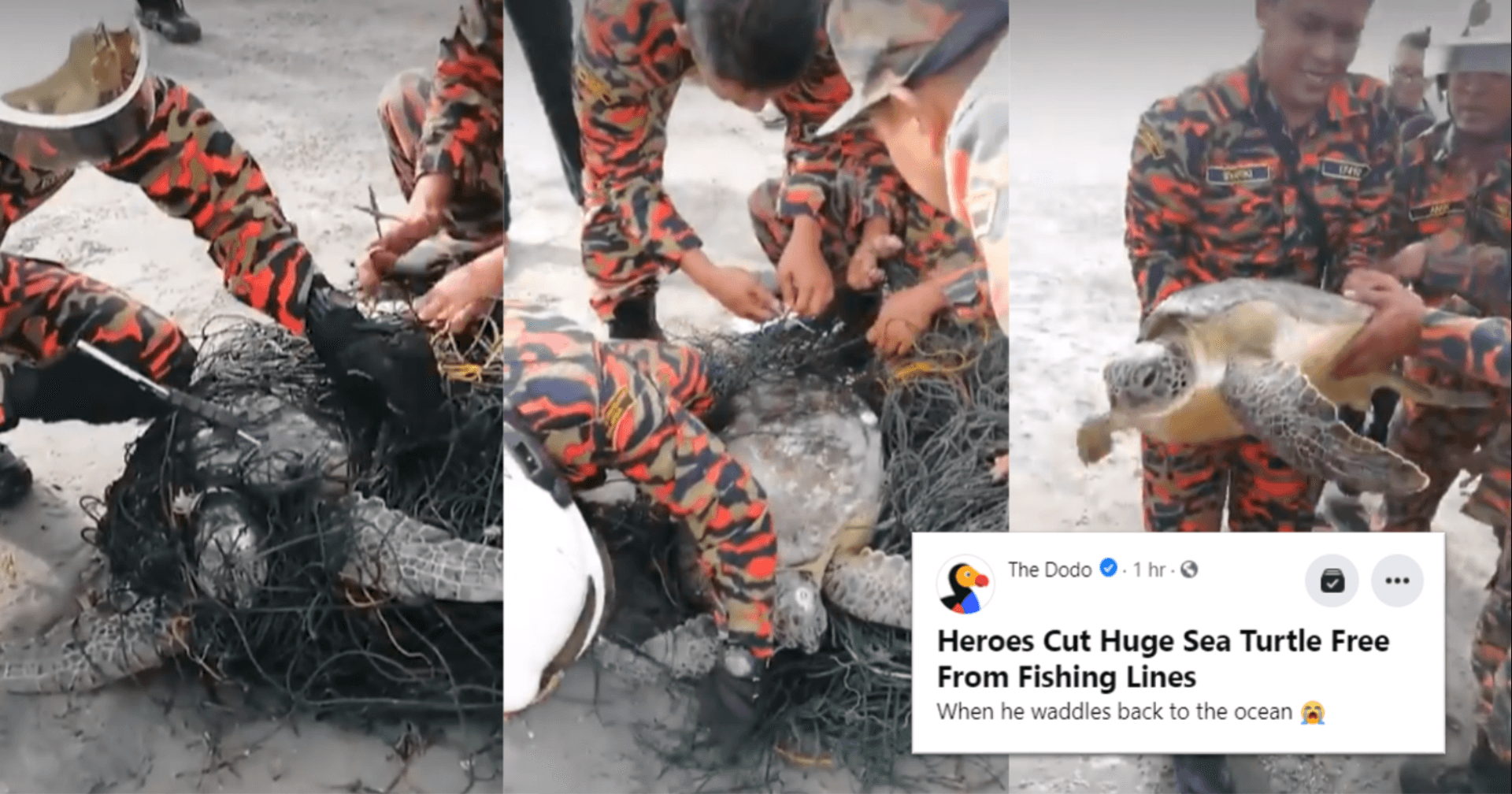 A description of the image