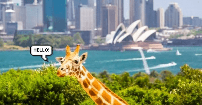 A description of the image