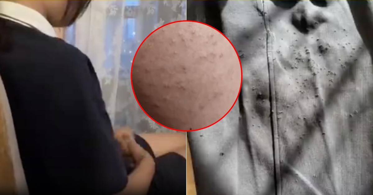 A description of the image