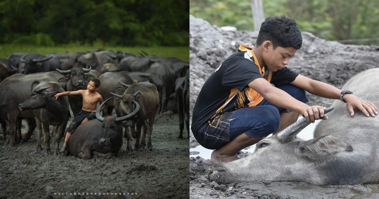 A description of the image