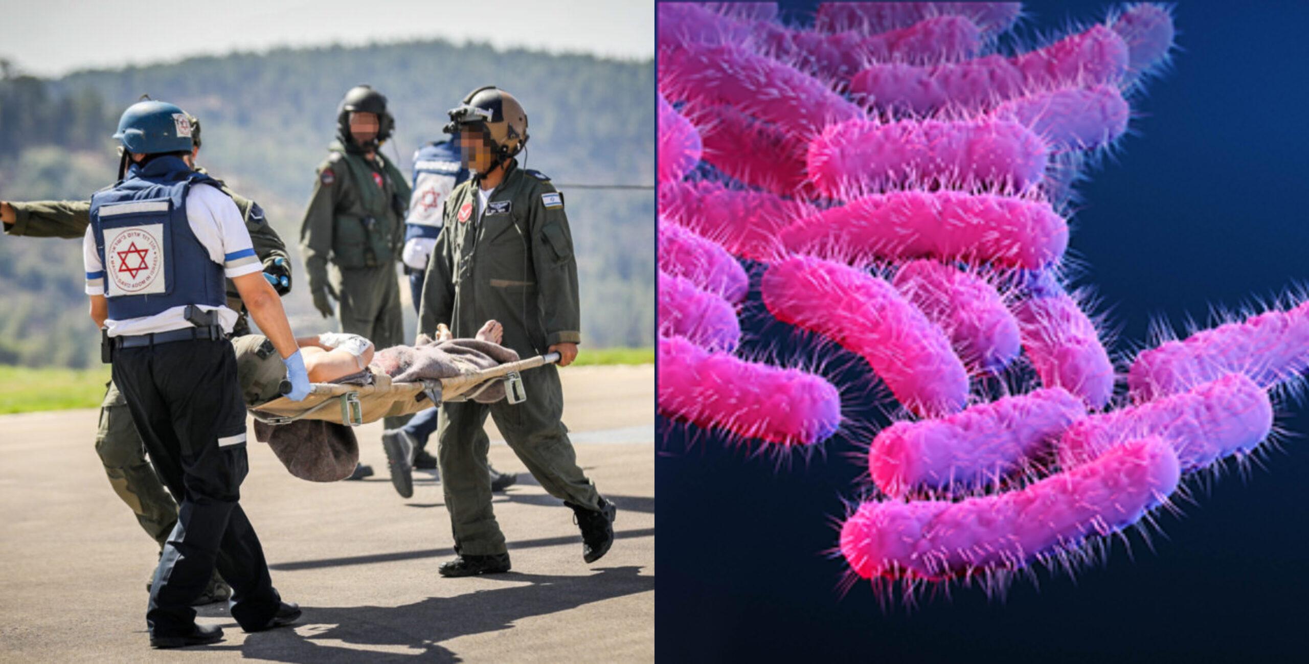 A description of the image