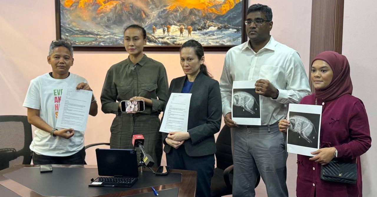 A description of the image