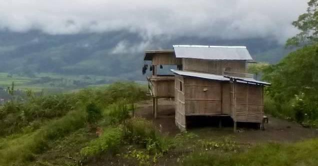 A description of the image